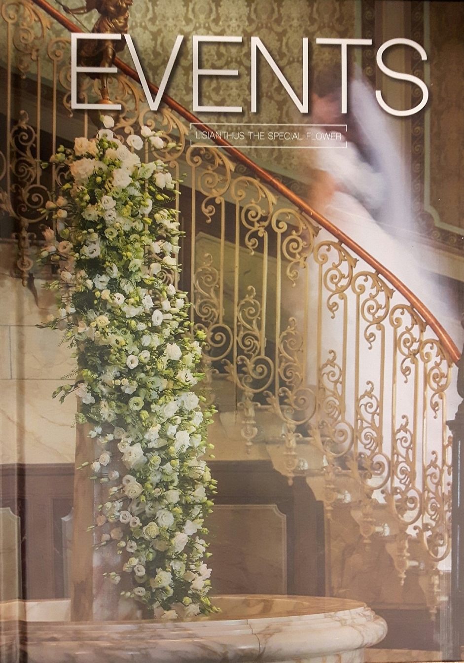 Events - Team Lisianthus Promotion