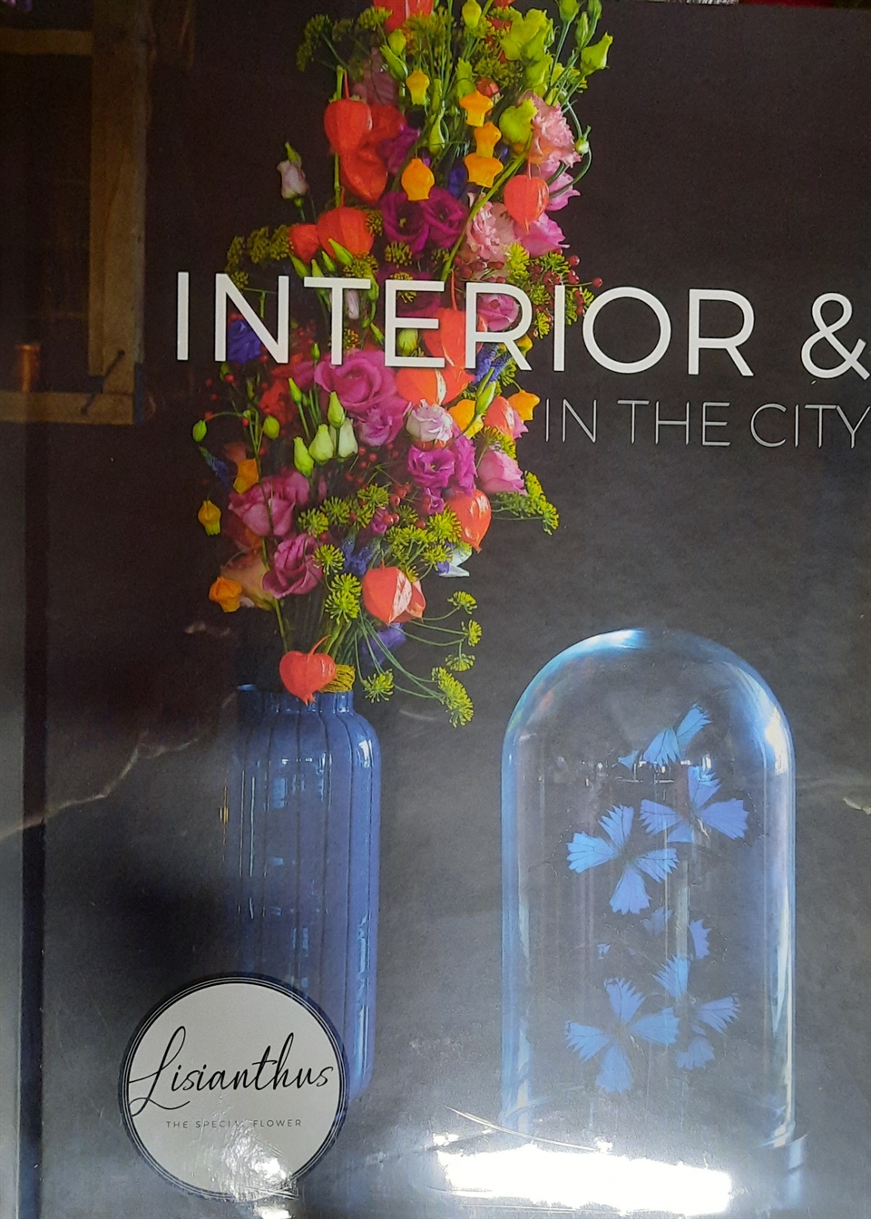 Interior & in the city - Team Lisianthus Promotion